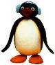 pingu2.jpg